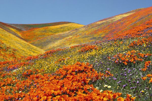 JUDA-KA-TALAB TO Valley of Flowers BASE